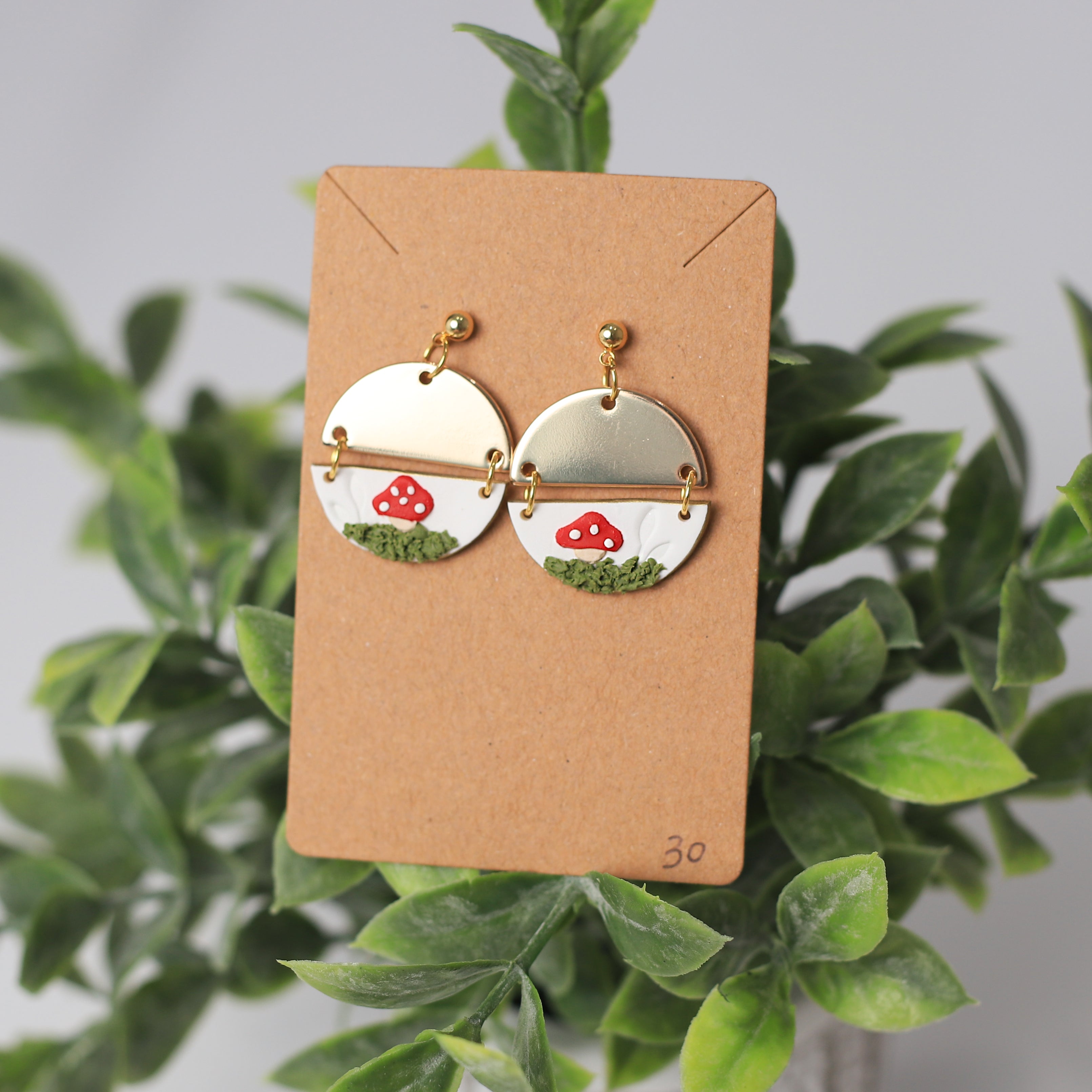 Mini Mushroom Garden