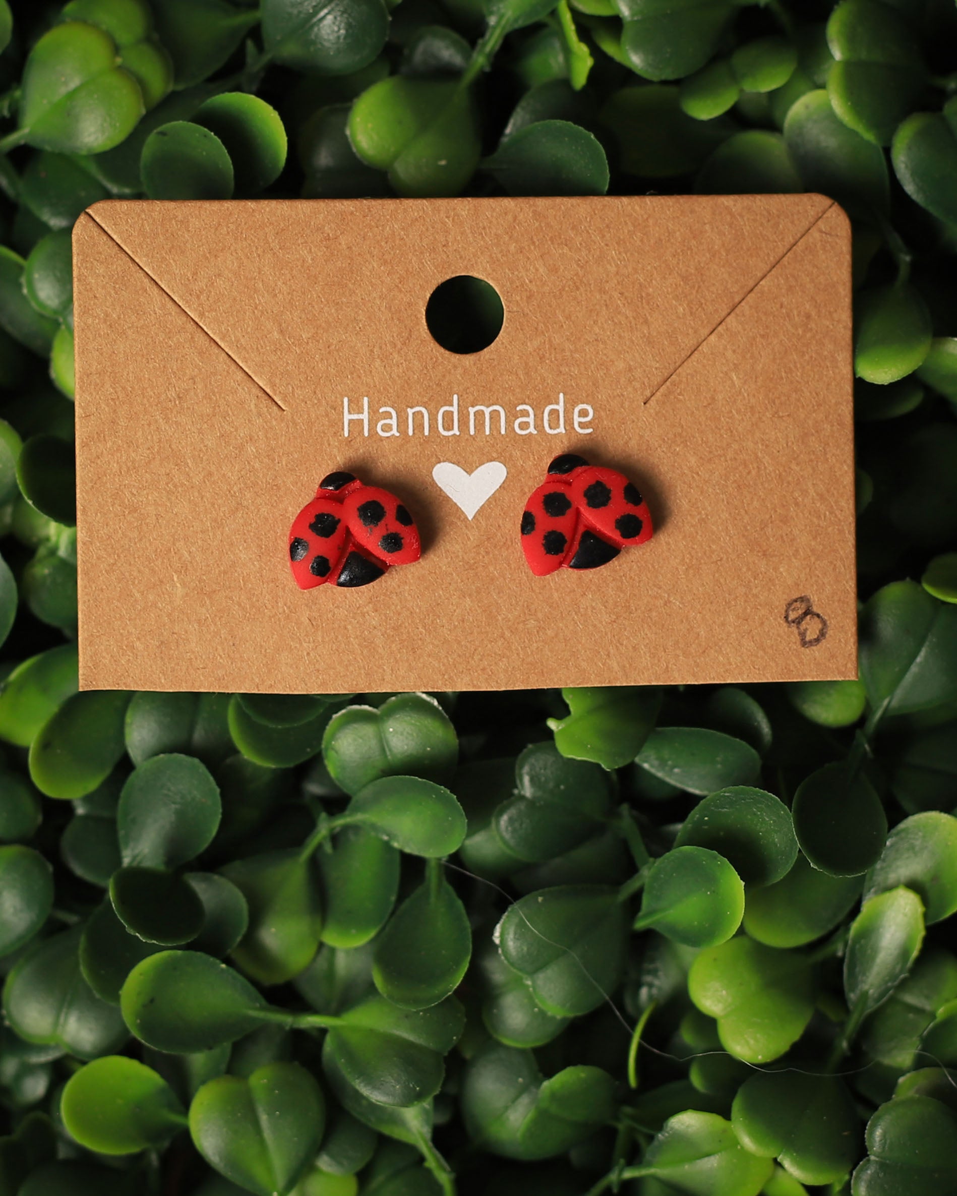 Ladybug